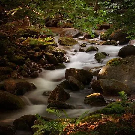Aleu - Apuseni Mountains *