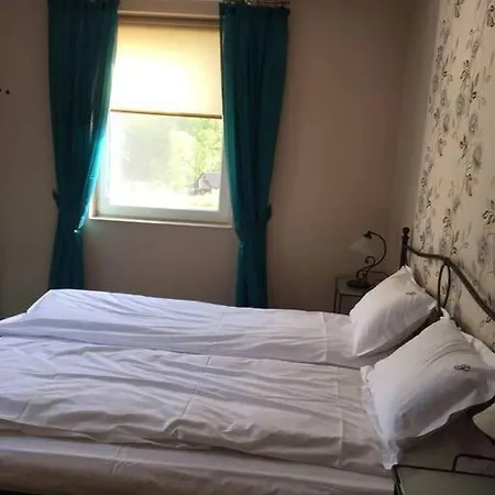 Aleu - Apuseni Mountains Holiday home