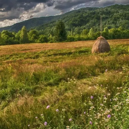 Aleu - Apuseni Mountains Holiday home *