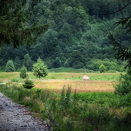 Aleu - Apuseni Mountains