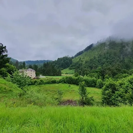 Holiday home Aleu - Apuseni Mountains