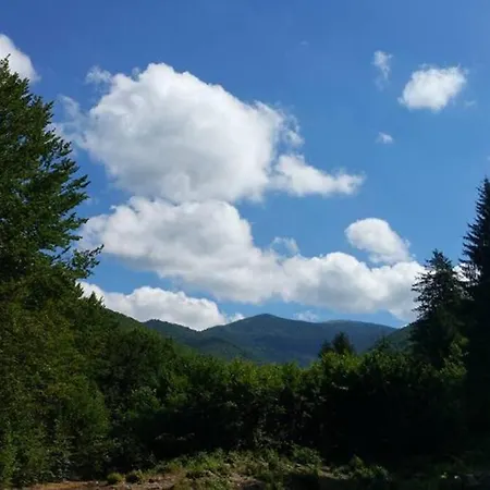 Aleu - Apuseni Mountains Holiday home Pietroasa (Bihor)