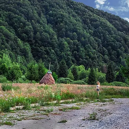 Aleu - Apuseni Mountains Holiday home *