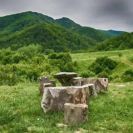 Aleu - Apuseni Mountains * Pietroasa (Bihor)