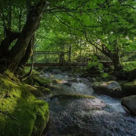 Holiday home Aleu - Apuseni Mountains *