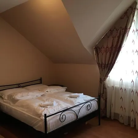 Holiday home Aleu - Apuseni Mountains Pietroasa (Bihor)