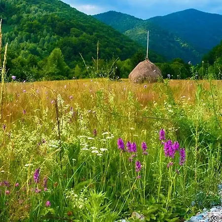 Aleu - Apuseni Mountains Pietroasa (Bihor)