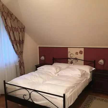 Holiday home Aleu - Apuseni Mountains Pietroasa (Bihor)